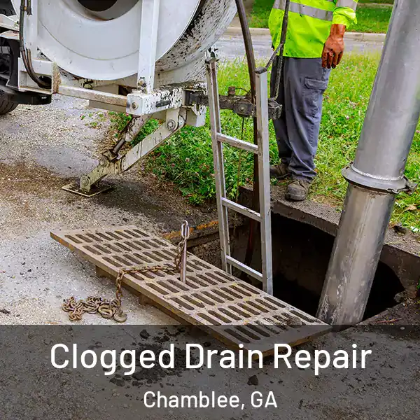  Clogged Drain Repair Chamblee, GA
