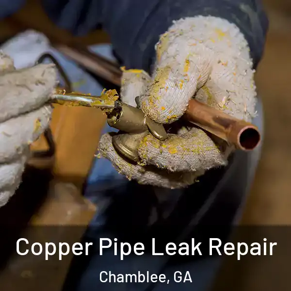  Copper Pipe Leak Repair Chamblee, GA