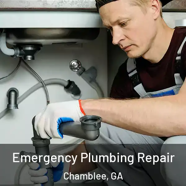  Emergency Plumbing Repair Chamblee, GA