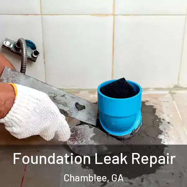  Foundation Leak Repair Chamblee, GA