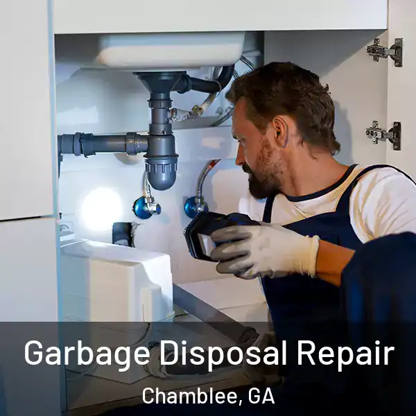  Garbage Disposal Repair Chamblee, GA
