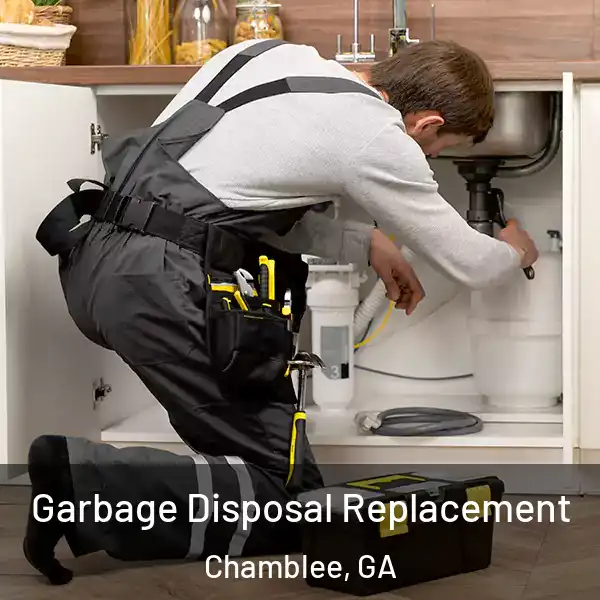  Garbage Disposal Replacement Chamblee, GA