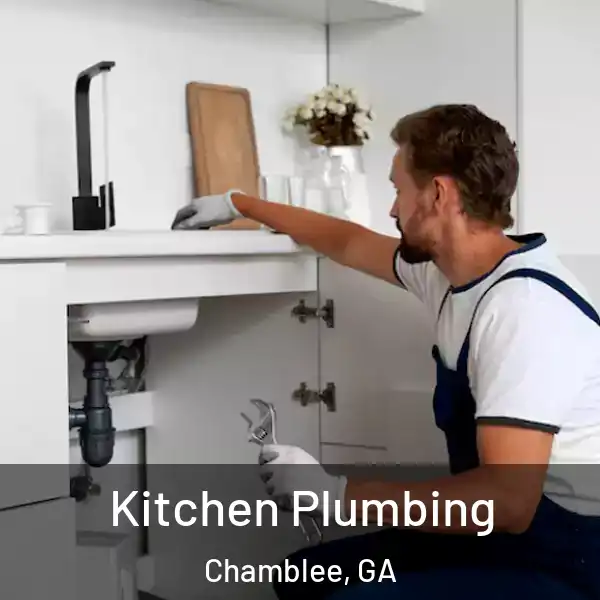  Kitchen Plumbing Chamblee, GA