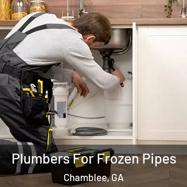  Plumbers For Frozen Pipes Chamblee, GA