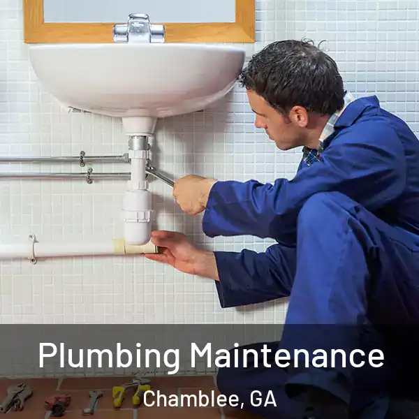  Plumbing Maintenance Chamblee, GA
