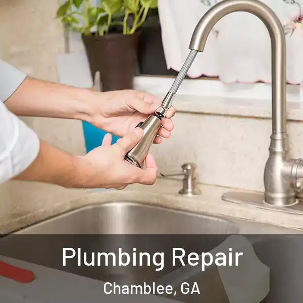  Plumbing Repair Chamblee, GA