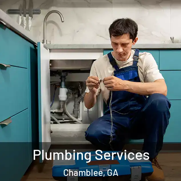 Plumbing Services Chamblee, GA