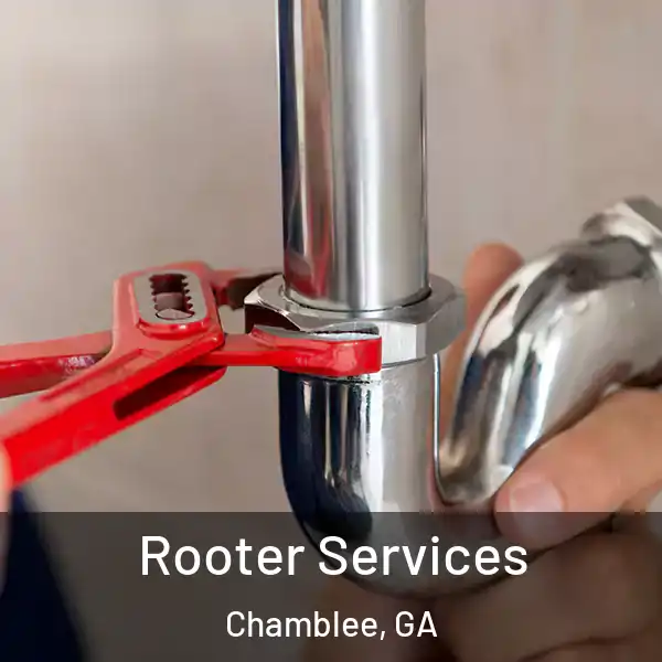  Rooter Services Chamblee, GA