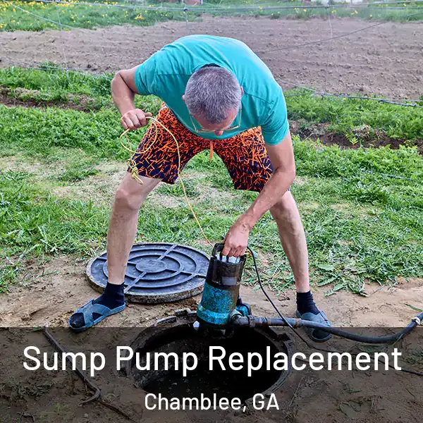  Sump Pump Replacement Chamblee, GA
