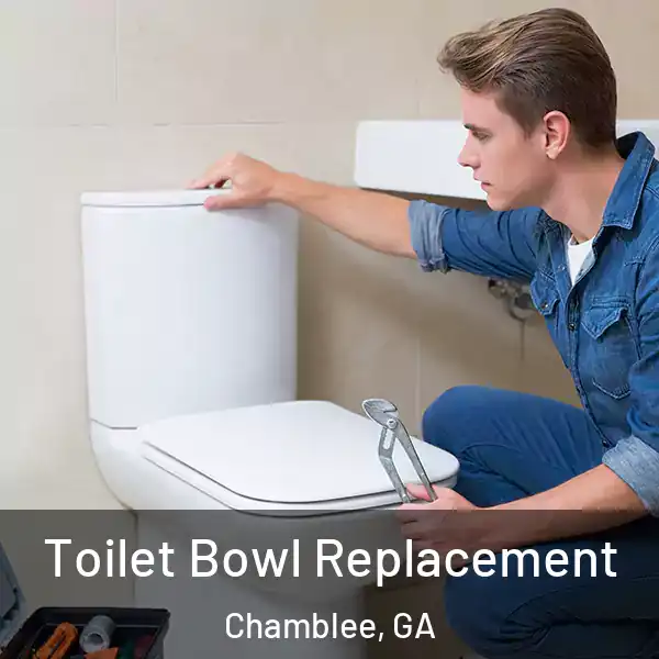  Toilet Bowl Replacement Chamblee, GA
