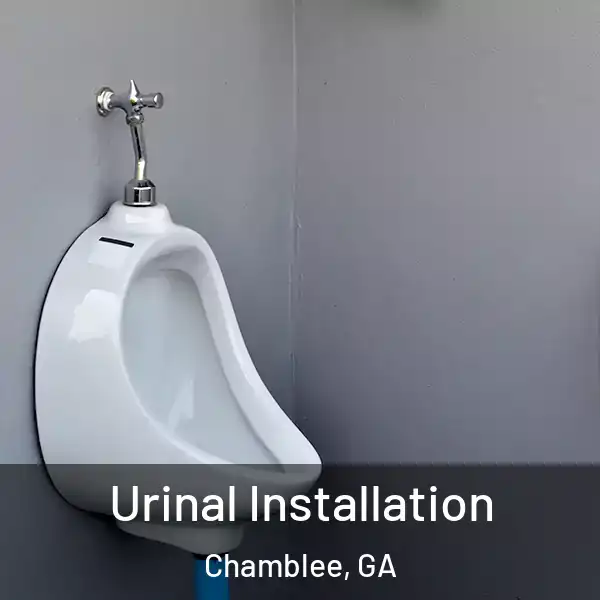  Urinal Installation Chamblee, GA