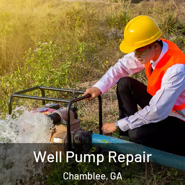  Well Pump Repair Chamblee, GA