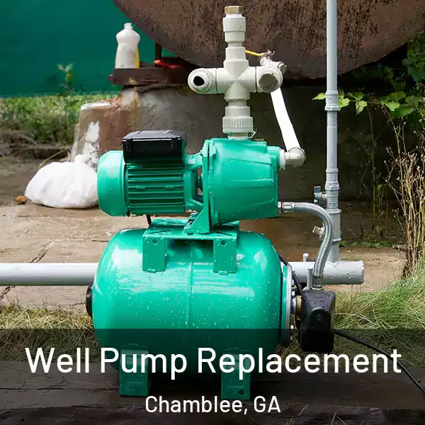  Well Pump Replacement Chamblee, GA